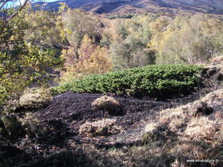 nte Corvo-01-11-2012 11-11-30
